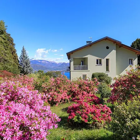 Belvedere - By Impero House *