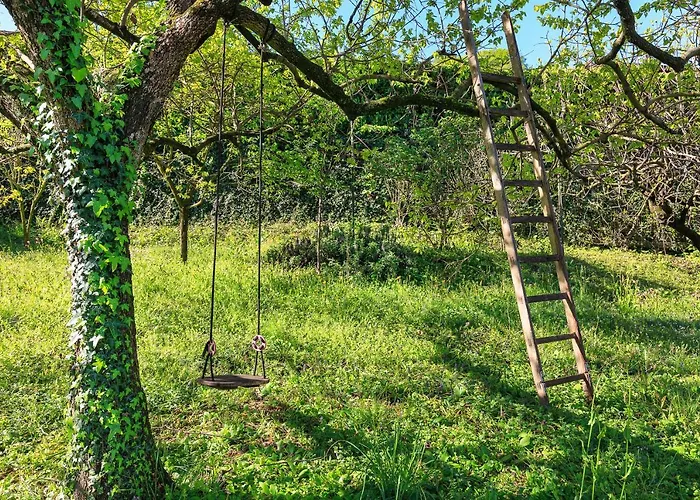 Belvedere - By Impero House *