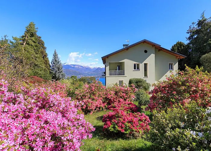 Belvedere - By Impero House *